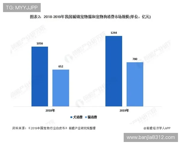 南京乒乓球队近期状态深度对比与未来发展趋势分析 南京乒乓球队近期状态深度对比与未来发展趋势分析