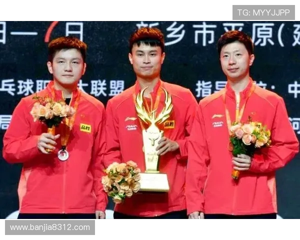 成都排球队在挑战赛中的团队协作表现分析与点评