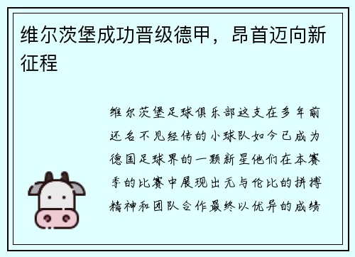 维尔茨堡成功晋级德甲，昂首迈向新征程